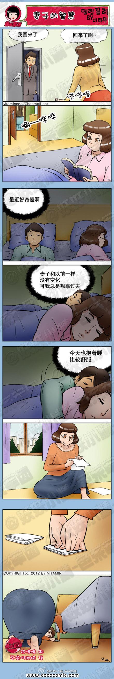 妻子的智慧