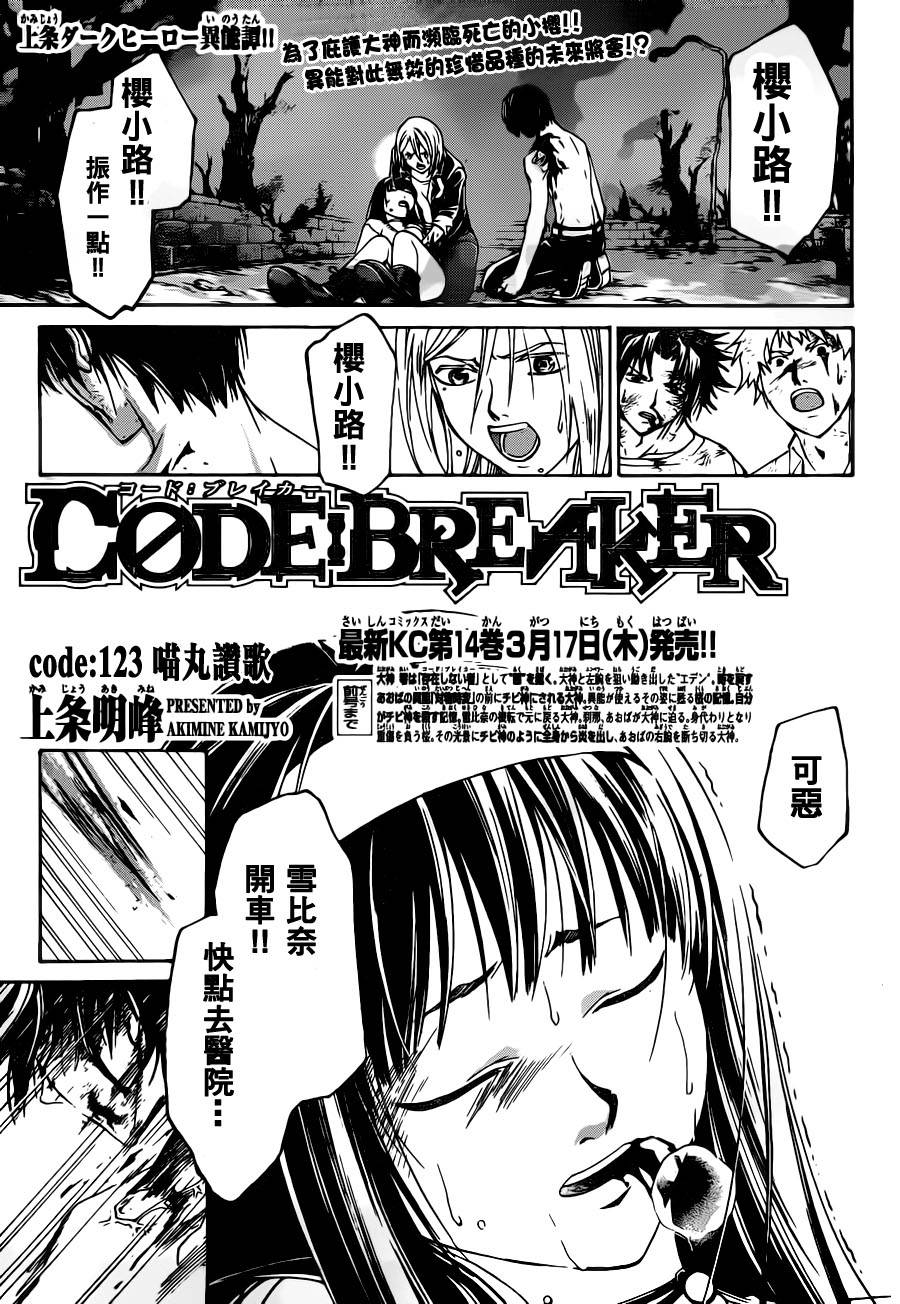 code breaker123集