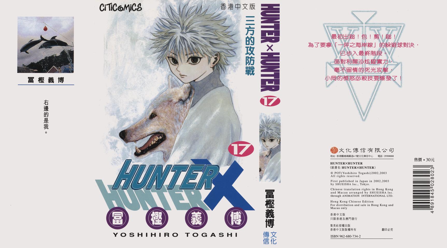 hunter×hunter17卷