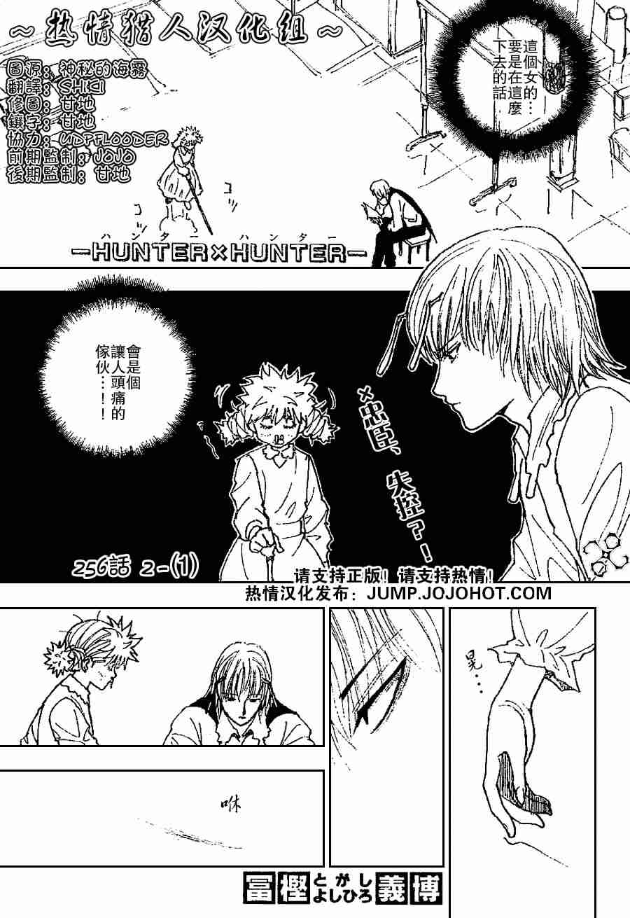 hunterxhunter256集