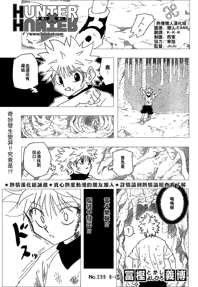 hunterxhunter239集