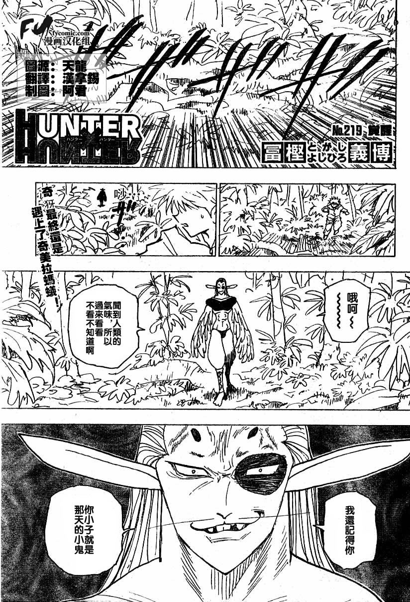 hunterxhunter219集