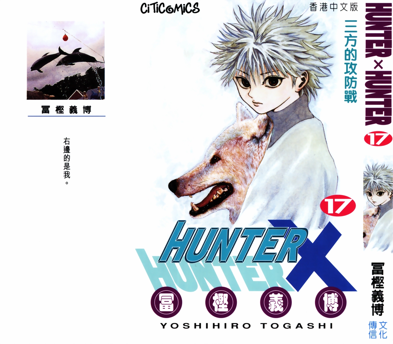 hunterxhunter17卷