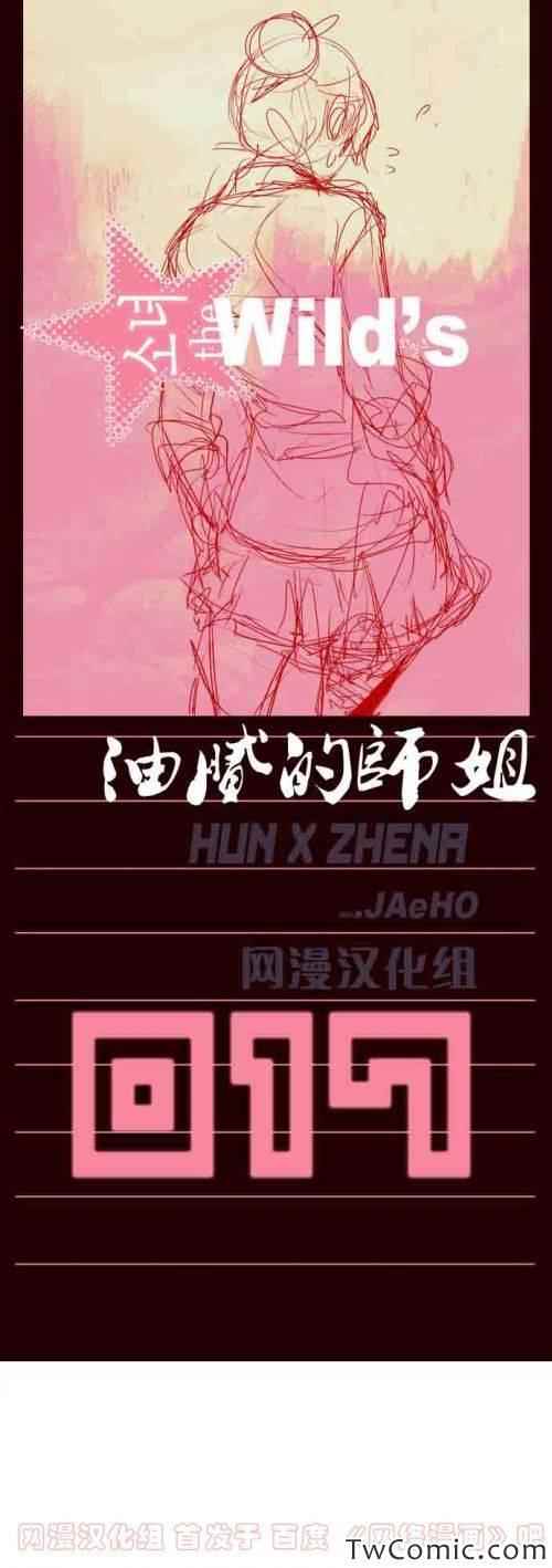 第17章