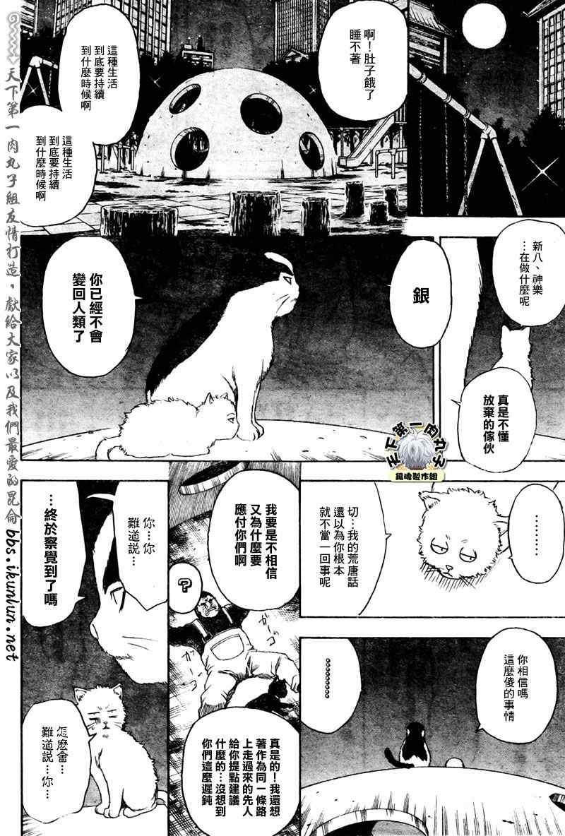 銀魂 Gin Tama 漫畫277集 第6頁 銀魂277集劇情 看漫畫