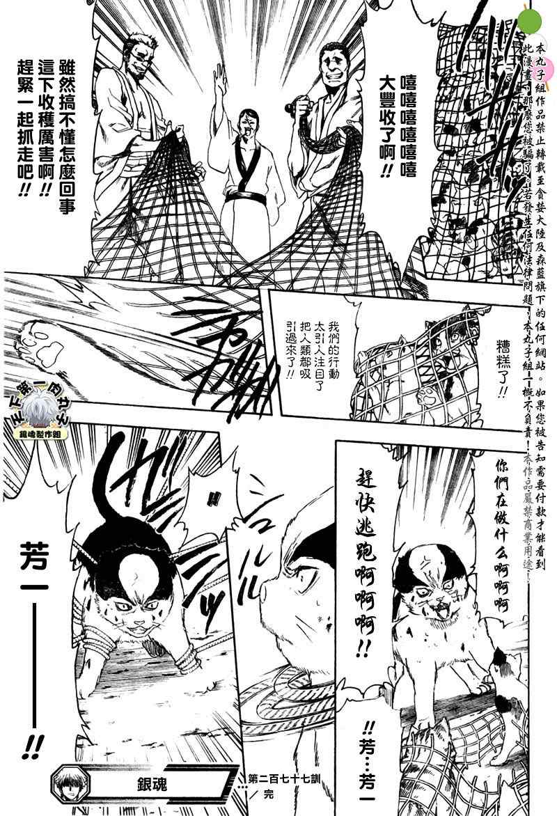 銀魂 Gin Tama 漫畫277集 第19頁 銀魂277集劇情 看漫畫