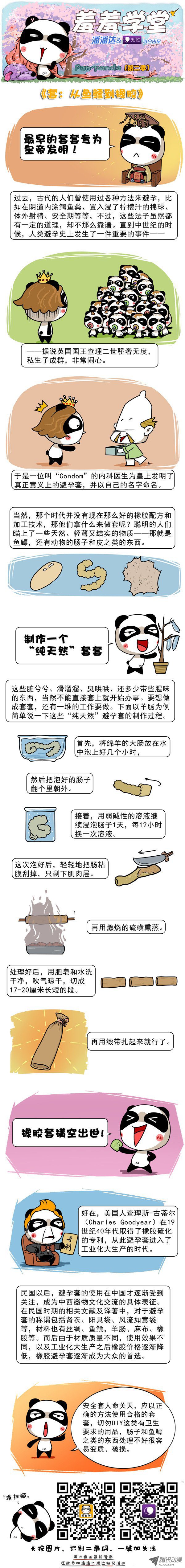 套：從魚鰾到橡膠