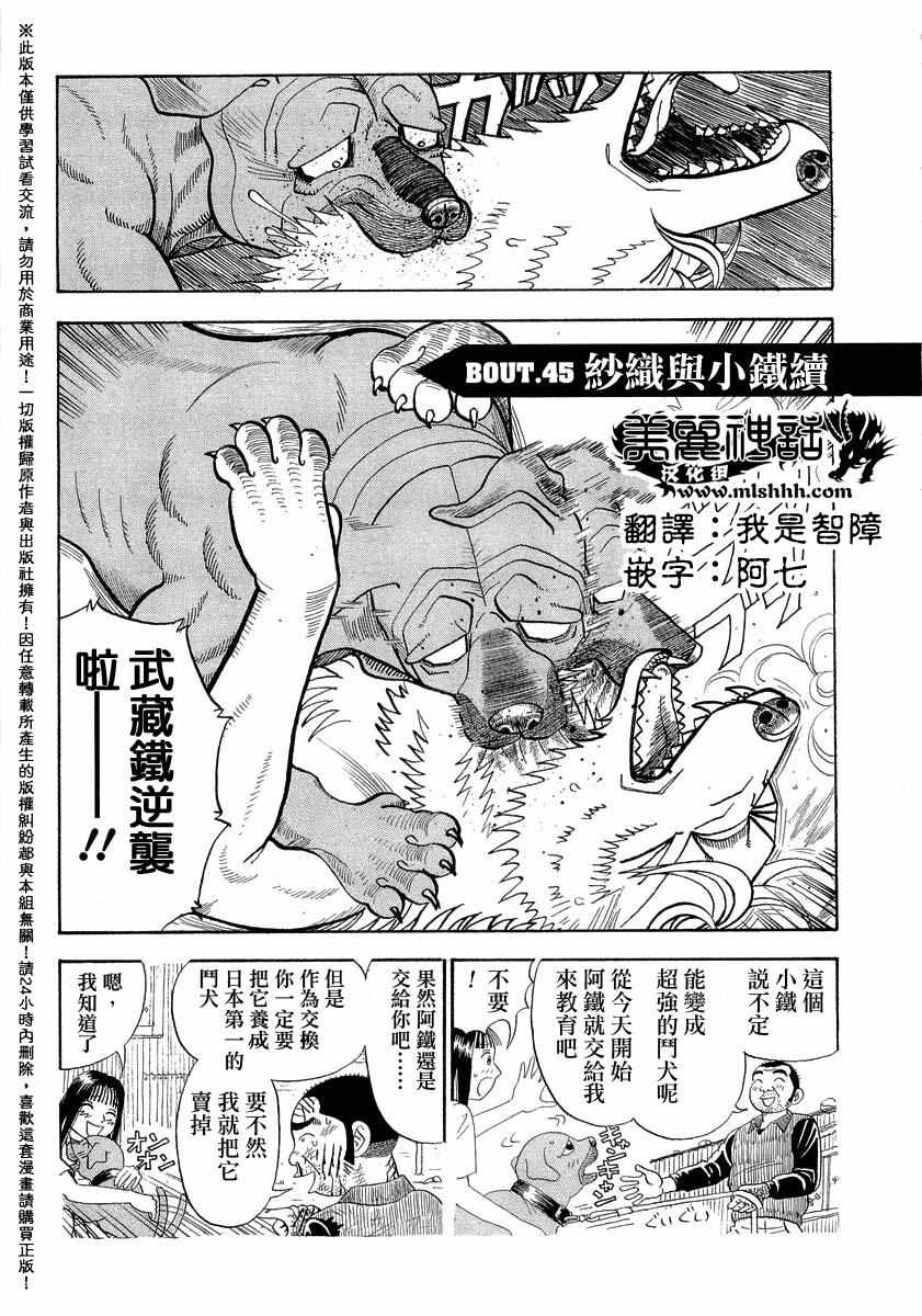 異種格斗大戰 045話