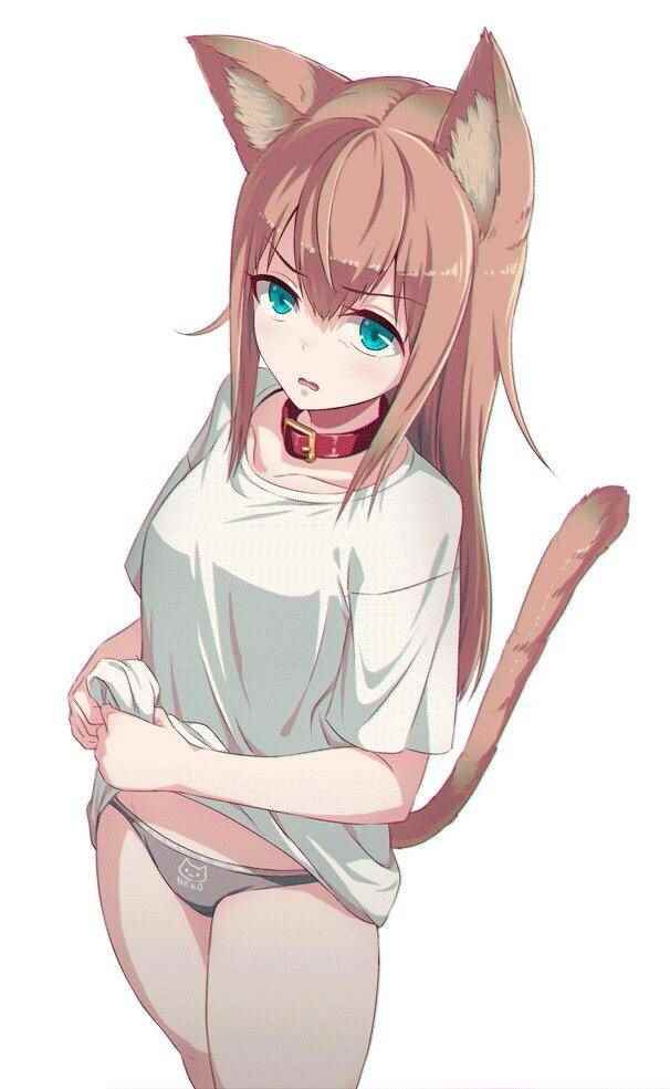 露出胖次 cP站圖08